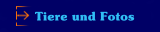Tiere und Fotos