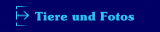 Tiere und Fotos